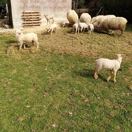 La Bergerie